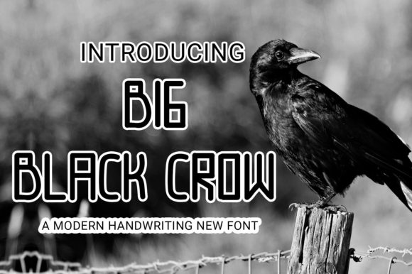 Big Black Crow Font for Editorial Design