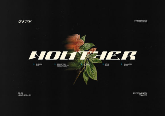 Nouther Display Font Review
